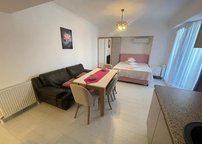 Solid Barrels Luxury *