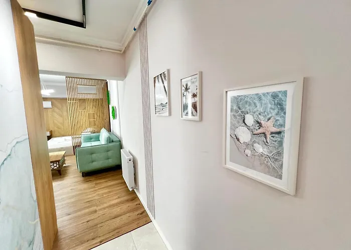 Solid Barrels Luxury