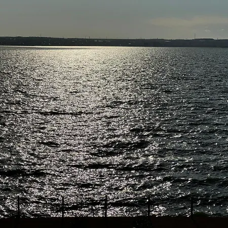 Solid Barrels Luxury * Мамая