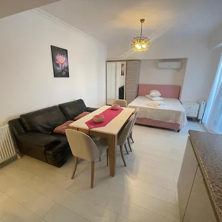 Solid Barrels Luxury *