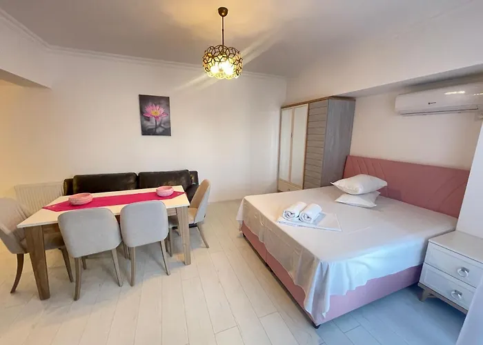 Apartment Solid Barrels Luxury